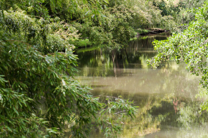 Lire la suite à propos de l’article La vallée de la Juine et le plateau de la Beauce de Pocancy