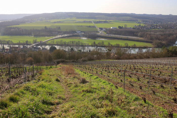 Lire la suite à propos de l’article Sur le coteau de Nanteuil-sur-Marne, entre forêts et vignobles