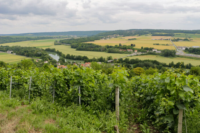 Lire la suite à propos de l’article La rando qui pétille ! Les vignes de champagne en Île-de-France