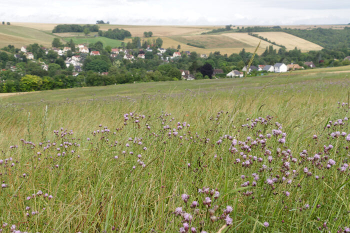 Lire la suite à propos de l’article La vallée de la Mauldre