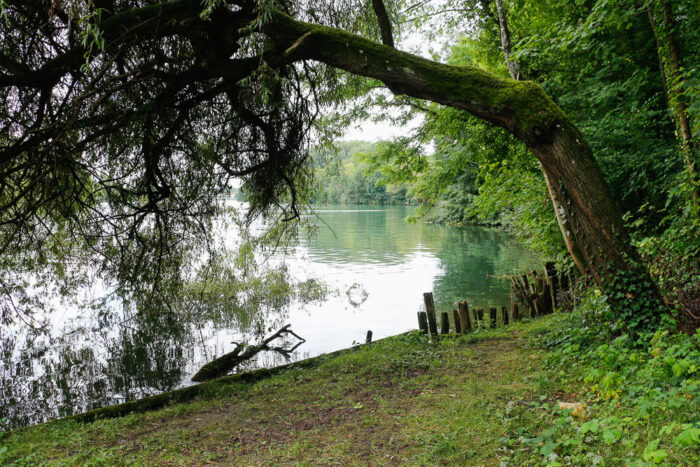 Lire la suite à propos de l’article La boucle de Saint-Fargeau : entre forêts et bords de Seine