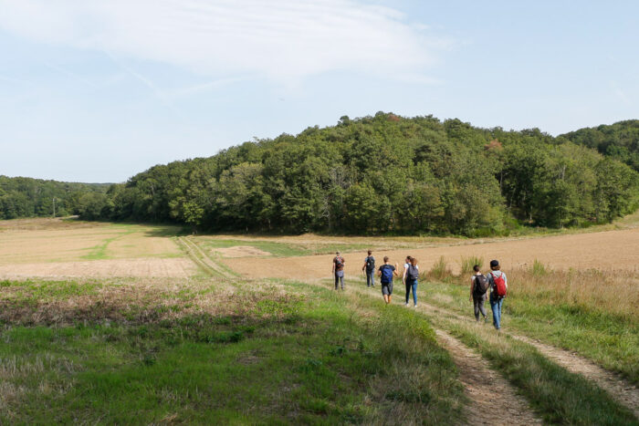 Lire la suite à propos de l’article La vallée de la Renarde entre Dourdan et Étréchy