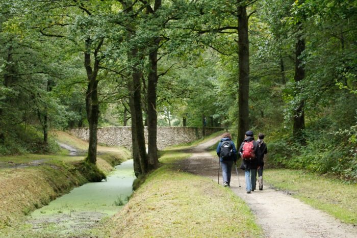 Lire la suite à propos de l’article La « rivière du roi Soleil » entre Rambouillet et le Perray