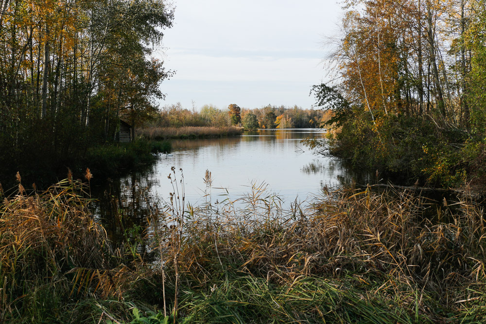 Les marais de la basse vallée de l’Essonne