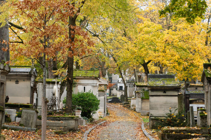 Lire la suite à propos de l’article Les oiseaux du Père-Lachaise