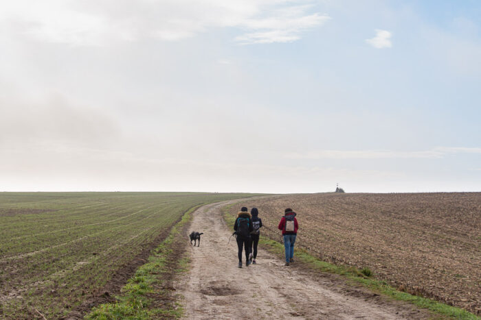 Lire la suite à propos de l’article La vallée et le plateau de l&rsquo;Ysieux entre Luzarches et Orry-la-Ville