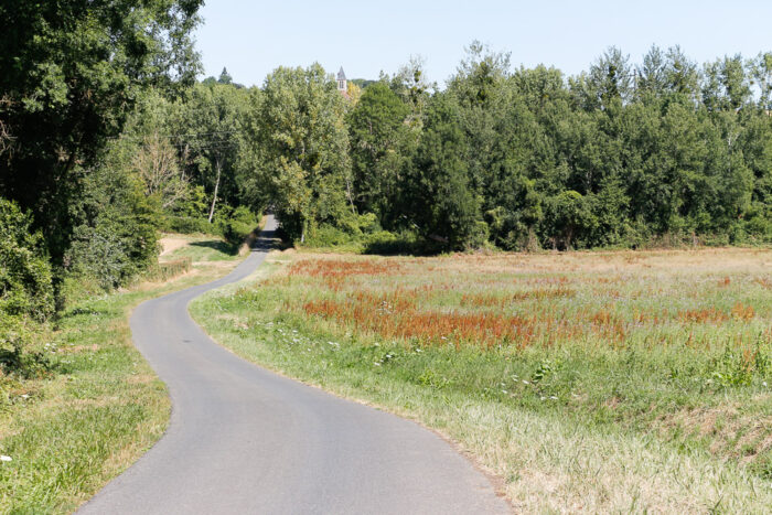 Lire la suite à propos de l’article Au pays du coulommiers