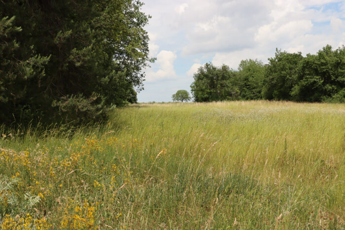 Lire la suite à propos de l’article Quatre petits vallons dans la campagne gâtinaise