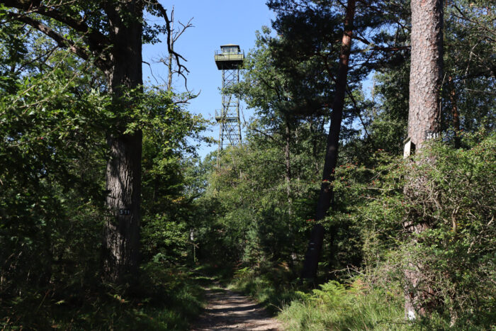 Lire la suite à propos de l’article Forêt de Fontainebleau et pylône de guet