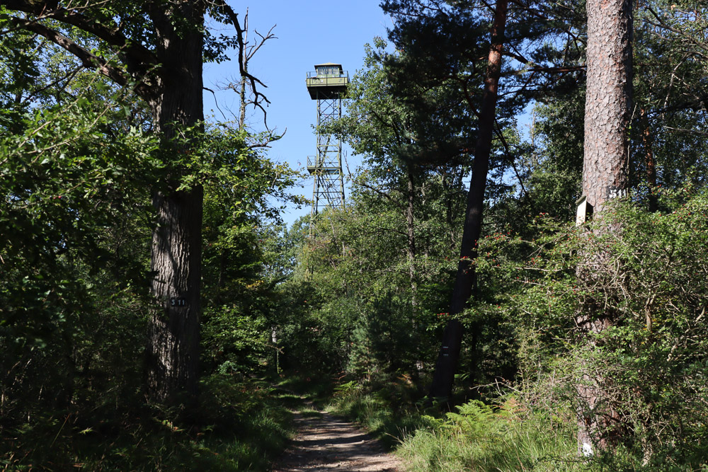 Forêt de Fontainebleau et pylône de guet