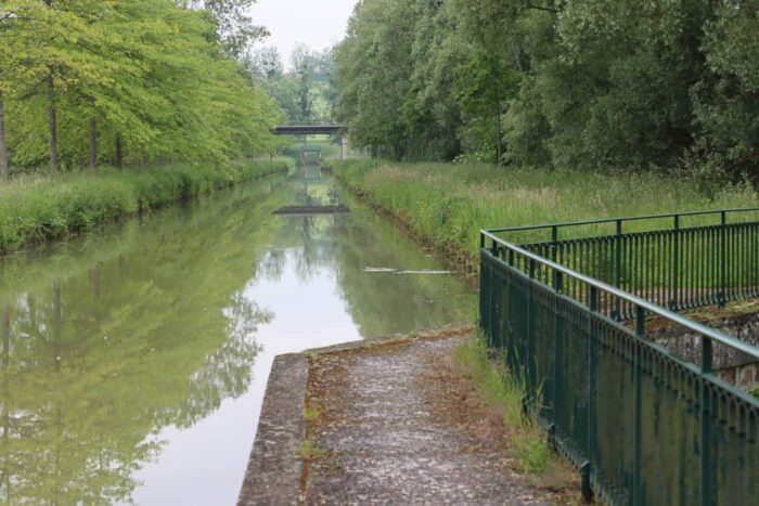 Lire la suite à propos de l’article Le marais de Négando et la basse vallée de l’Ourcq