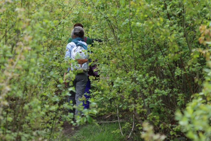 Lire la suite à propos de l’article La vallée du ruisseau du Montubois dans la forêt de Montmorency