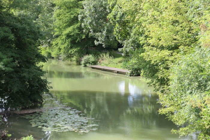 Lire la suite à propos de l’article Des jardins partagés aux maisons cossues du bord de Marne