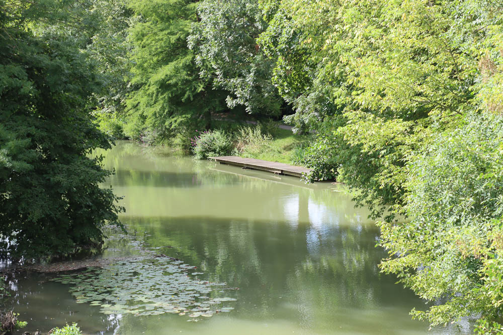 Des jardins partagés aux maisons cossues du bord de Marne