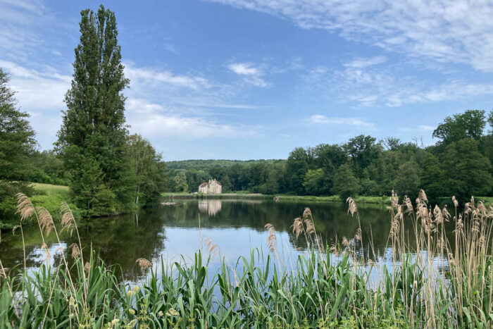 Lire la suite à propos de l’article Lac, château et tourbière au cœur de la forêt de Montmorency