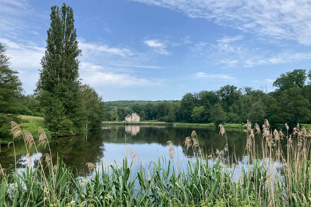 Lac, château et tourbière au cœur de la forêt de Montmorency